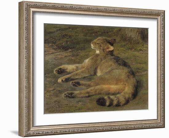 Wild Cat, 1850, by Rosa Bonheur, French painting,-Rosa Bonheur-Framed Art Print