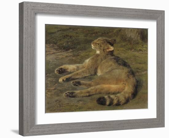 Wild Cat, 1850, by Rosa Bonheur, French painting,-Rosa Bonheur-Framed Art Print
