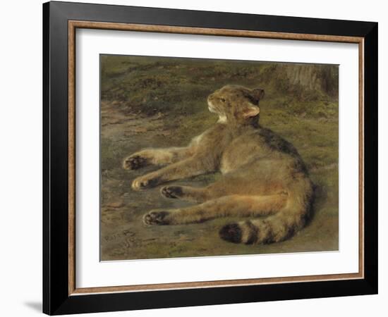 Wild Cat, 1850, by Rosa Bonheur, French painting,-Rosa Bonheur-Framed Art Print