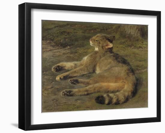 Wild Cat, 1850, by Rosa Bonheur, French painting,-Rosa Bonheur-Framed Art Print