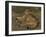 Wild Cat, 1850, by Rosa Bonheur, French painting,-Rosa Bonheur-Framed Art Print