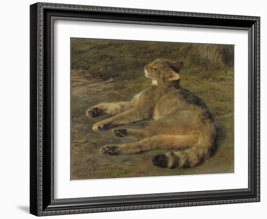 Wild Cat, 1850, by Rosa Bonheur, French painting,-Rosa Bonheur-Framed Art Print