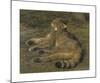 Wild Cat, 1850-Rosa Bonheur-Mounted Premium Giclee Print