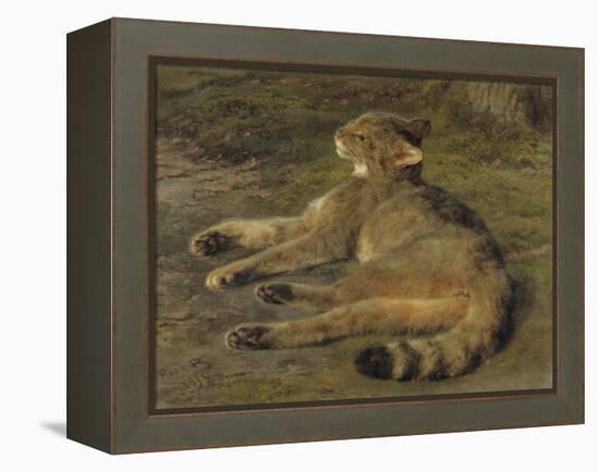 Wild Cat, 1850-Rosa Bonheur-Framed Premier Image Canvas