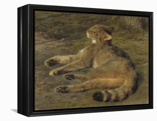 Wild Cat, 1850-Rosa Bonheur-Framed Premier Image Canvas