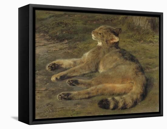 Wild Cat, 1850-Rosa Bonheur-Framed Premier Image Canvas
