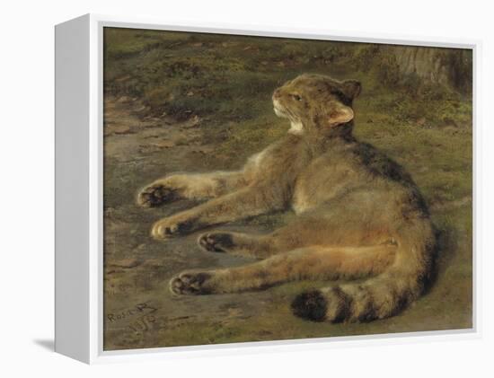 Wild Cat, 1850-Rosa Bonheur-Framed Premier Image Canvas