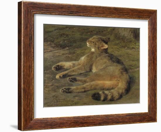 Wild Cat, 1850-Rosa Bonheur-Framed Giclee Print