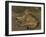 Wild Cat, 1850-Rosa Bonheur-Framed Giclee Print