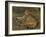 Wild Cat, 1850-Rosa Bonheur-Framed Giclee Print