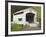 Wild Cat Covered Bridge, Lane County, Oregon, USA-William Sutton-Framed Photographic Print