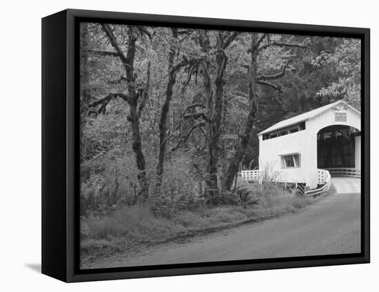 Wild Cat Covered Bridge, Lane County, Oregon, USA-William Sutton-Framed Premier Image Canvas