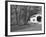 Wild Cat Covered Bridge, Lane County, Oregon, USA-William Sutton-Framed Photographic Print