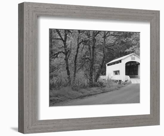 Wild Cat Covered Bridge, Lane County, Oregon, USA-William Sutton-Framed Photographic Print