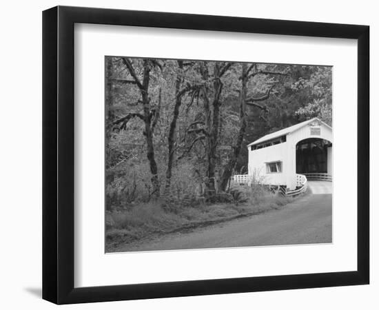 Wild Cat Covered Bridge, Lane County, Oregon, USA-William Sutton-Framed Photographic Print