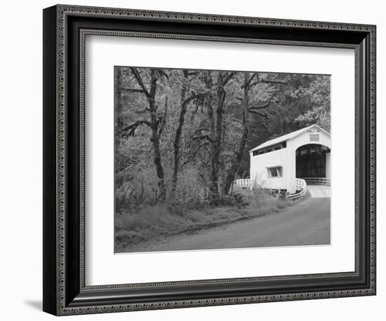 Wild Cat Covered Bridge, Lane County, Oregon, USA-William Sutton-Framed Photographic Print