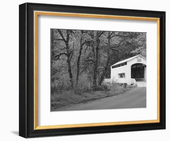 Wild Cat Covered Bridge, Lane County, Oregon, USA-William Sutton-Framed Photographic Print