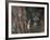 Wild Cat in Pine Forest, Cairngorms National Park, Scotland, UK-Pete Cairns-Framed Photographic Print