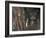 Wild Cat in Pine Forest, Cairngorms National Park, Scotland, UK-Pete Cairns-Framed Photographic Print