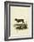 Wild Cat-null-Framed Giclee Print