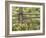 Wild Chamomile Growing around Log Fence-Adam Jones-Framed Photographic Print