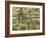 Wild Chamomile Growing around Log Fence-Adam Jones-Framed Photographic Print