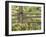 Wild Chamomile Growing around Log Fence-Adam Jones-Framed Photographic Print