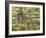 Wild Chamomile Growing around Log Fence-Adam Jones-Framed Photographic Print