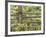 Wild Chamomile Growing around Log Fence-Adam Jones-Framed Photographic Print