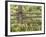 Wild Chamomile Growing around Log Fence-Adam Jones-Framed Photographic Print