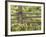 Wild Chamomile Growing around Log Fence-Adam Jones-Framed Photographic Print