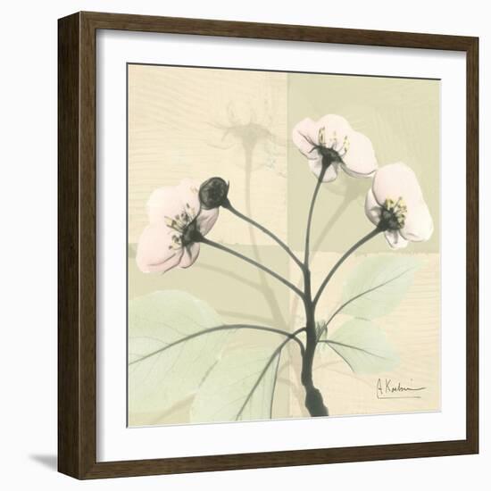 Wild Cherry Patch-Albert Koetsier-Framed Art Print