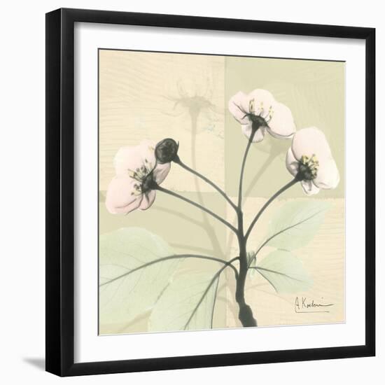 Wild Cherry Patch-Albert Koetsier-Framed Art Print