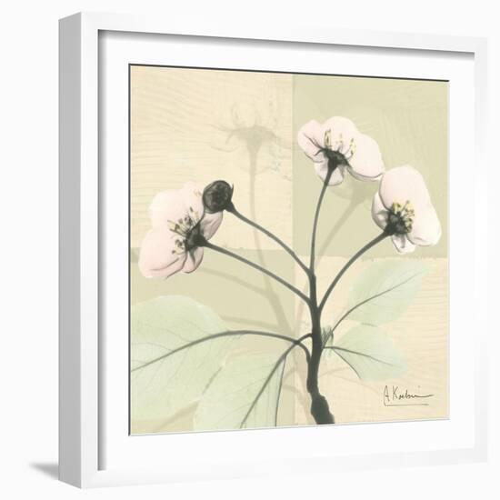 Wild Cherry Patch-Albert Koetsier-Framed Art Print