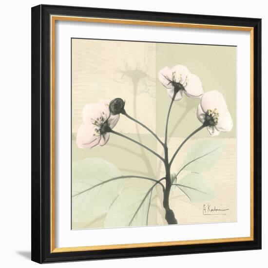 Wild Cherry Patch-Albert Koetsier-Framed Art Print