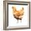 Wild Chicken II-Emma Scarvey-Framed Art Print