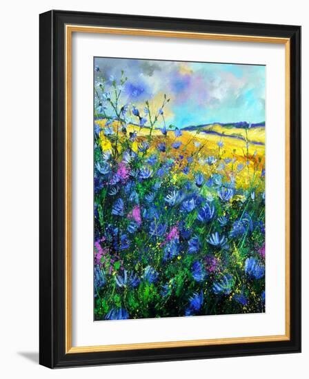 Wild chicorees-Pol Ledent-Framed Art Print