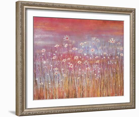 Wild Daisies at Sundown-Jo Starkey-Framed Giclee Print