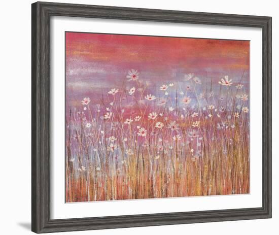 Wild Daisies at Sundown-Jo Starkey-Framed Giclee Print