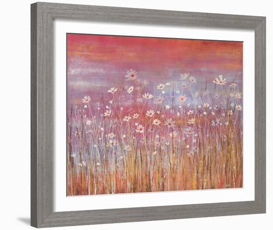 Wild Daisies at Sundown-Jo Starkey-Framed Giclee Print