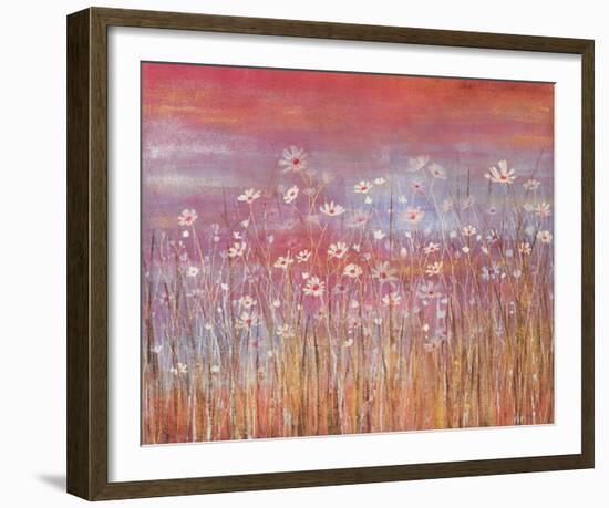 Wild Daisies at Sundown-Jo Starkey-Framed Giclee Print