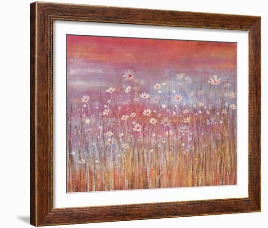 Wild Daisies at Sundown-Jo Starkey-Framed Giclee Print