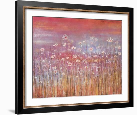 Wild Daisies at Sundown-Jo Starkey-Framed Giclee Print