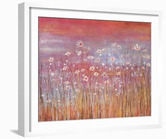 Wild Daisies at Sundown-Jo Starkey-Framed Giclee Print