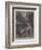 Wild Darrie-Charles Auguste Loye-Framed Giclee Print