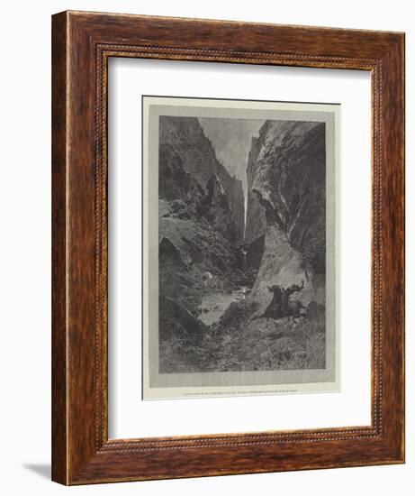 Wild Darrie-Charles Auguste Loye-Framed Giclee Print