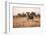 Wild Dog, Moremi Game Reserve, Botswana-Paul Souders-Framed Photographic Print