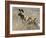 Wild Dog (Painted Hunting Dog) (Lycaon Pictus), South Africa, Africa-Steve & Ann Toon-Framed Photographic Print