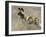 Wild Dog (Painted Hunting Dog) (Lycaon Pictus), South Africa, Africa-Steve & Ann Toon-Framed Photographic Print