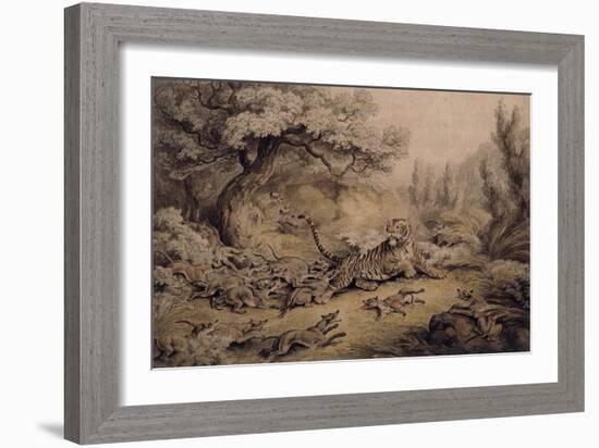 Wild Dogs Attacking a Tiger-Samuel Howitt-Framed Giclee Print